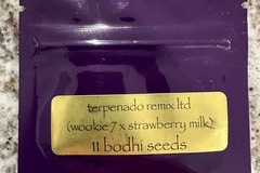 Sell: Terpenado Remix Limited by Bodhi Seeds
