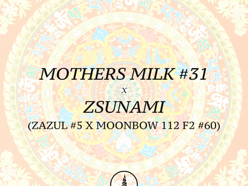 Sell: Mothers Milk #31 (Bodhi) x Zsunami (Archive)