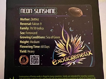 Sell: Neon Sunshine (Zkittles x Falcon 9) by Exotic Genetix