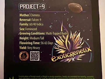 Sell: Project 9 (Chimera x Falcon 9) by Exotic Genetix