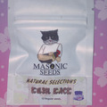 Sell: Kush Kack (Natural Selections) Masonic Seeds