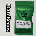 Vente: Red Hot Rainbows - Robin Hood Seeds
