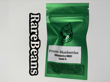 Vente: Frozen Blueberries - Robin Hood Seeds