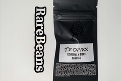 Vente: Tropixx - Square One Genetics