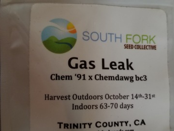 Vente: Gas leak South fork lost my job sale