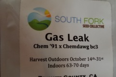 Sell: Gas leak South fork lost my job sale