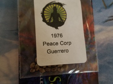 Sell: 76 peace corps Guerero Swami lost my job sale