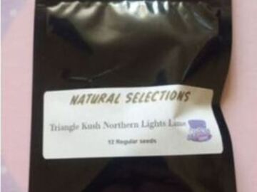 Sell: Triangle Kush Northern Lights Lime (NS) Masonic Seeds