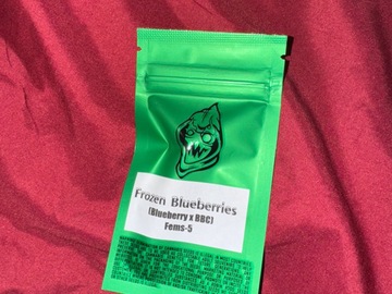 Vente: Frozen Blueberries  - Robin Hood Seeds