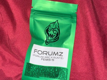 Venta: FORUMZ  - Robin Hood Seeds