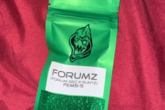 Vente: FORUMZ  - Robin Hood Seeds
