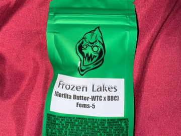 Sell: Frozen Lakes