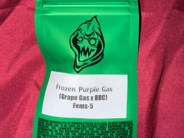 Venta: Frozen Purple Gas  - Robin Hood Seeds