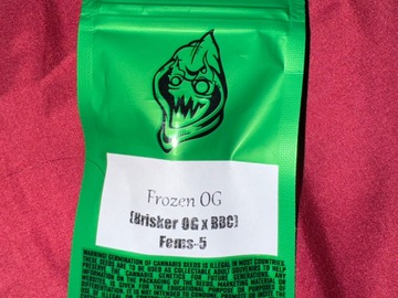 Sell: Frozen OG  - Robin Hood Seeds