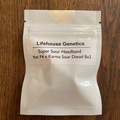 Venta: Lifehouse Genetics - Super Sour Headband