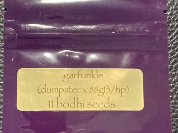 Venta: Garfunkle (Dumpster x 88G13HP) - Bodhi Seeds