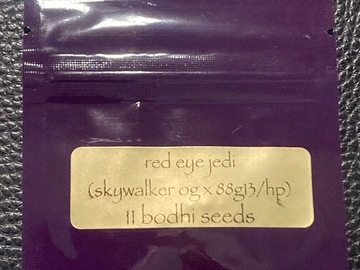 Sell: Red Eye Jedi (Skywalker OG x 88G13HP) - Bodhi Seeds