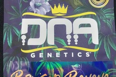 Vente: Bruised Banana by DNA
