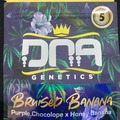 Vente: Bruised Banana by DNA