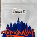 Top Dawg - Guava D - RARE & Long Sold Out