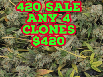 Vente: 420 SALE !….Pick Any 4 Clones……$420 Shipped