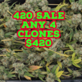 Sell: 420 SALE !….Pick Any 4 Clones……$420 Shipped