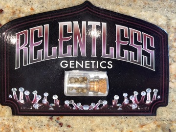 Venta: Relentless Genetics - Rotten Cherries - Sold Out!