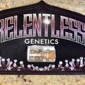 Relentless Genetics - Rotten Cherries - Sold Out!