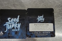 Permanent Gas Seed Junky