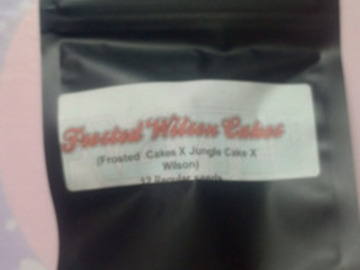 Vente: Frosted Wilson Cakes - Masonic seeds
