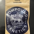 Vente: Grape Gasoline- Compound Genetics(BIN $500)
