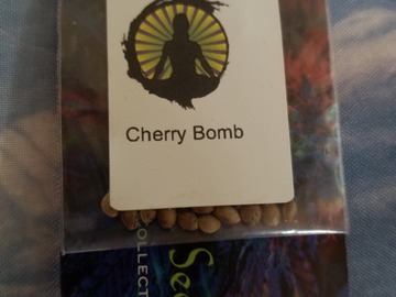 Vente: Cherry bomb lost my job sale
