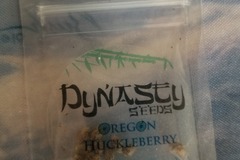 Oregon huckleberry Dynasty
