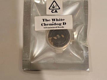 Sell: The white x chemdog by csi humboldt