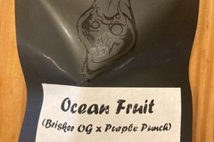 Venta: Ocean fruit