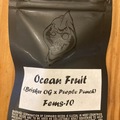 Venta: Ocean fruit
