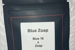 Auction: (auction) Blue Zoap from LIT Farms