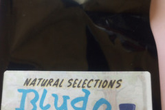 Sell: Bludo NS Masonic seeds