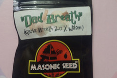 Vente: Dad Breath - Masonic (Garlic Breath 2.0 x Wilson)