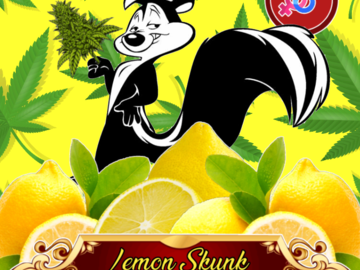 Auction: Lemon Skunk (6 regular Seeds) Auction + Freebie