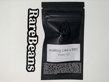 Wedding Cake x BBC - Square One Genetics