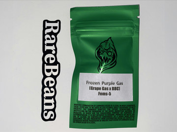 Frozen Purple Gas - Robin Hood Seeds
