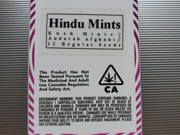 Hindu Mints *Equilbrium Genetics