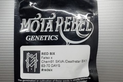 Sell: Red Six *Mota Rebel Genetics