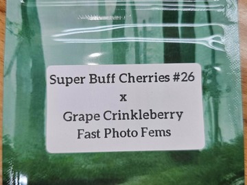 Venta: Super Buff Cherries x Grape Crinkleberry - 10 Fast Photo Fems