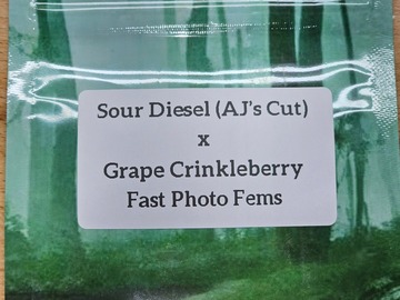Venta: Sour Diesel x Grape Crinkleberry - 10 Fast Photo Fems