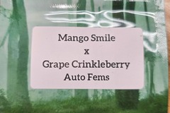 Venta: Mango Smile x Grape Crinkleberry - 10 Auto Fems