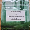 Sell: Ravenberry x Grape Crinkleberry - 10 Auto Fems