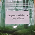 Venta: Grape Crinkleberry F3 - 10 Auto Fems