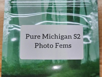 Venta: Pure Michigan S2 - 10 Photo Fems